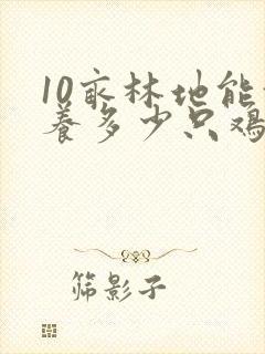 10亩林地能放养多少只鸡