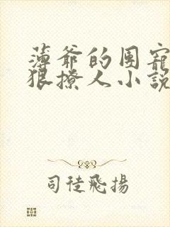 薄爷的团宠娇妻狠撩人小说封面