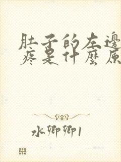 肚子的左边有点疼是什么原因