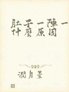 肚子一阵一阵痛什么原因