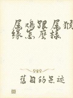 属鸡跟属猴的姻缘怎么样