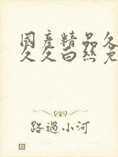 国产精品久久久久久白丝免费体验