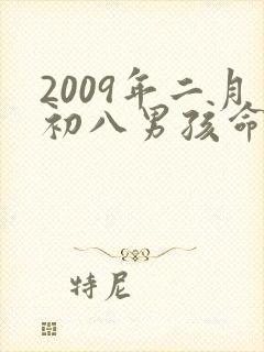 2009年二月初八男孩命运如何