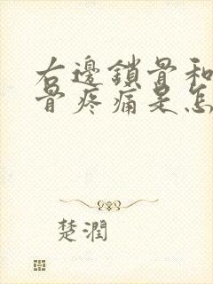 右边锁骨和肩胛骨疼痛是怎么回事