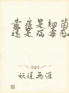 黄痰是细菌感染还是病毒感染?