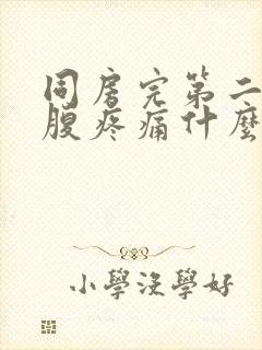 同房完第二天小腹疼痛什么原因