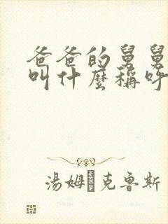 爸爸的舅舅儿子叫什么称呼