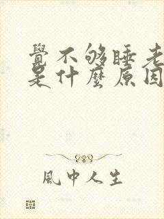 觉不够睡老犯困是什么原因