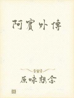 阿宾外传