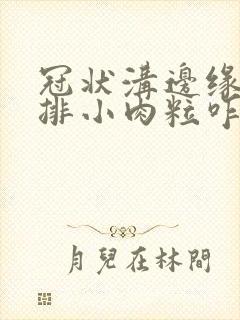 冠状沟边缘有一排小肉粒咋回事