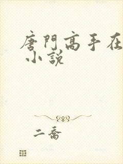 唐门高手在异世 小说