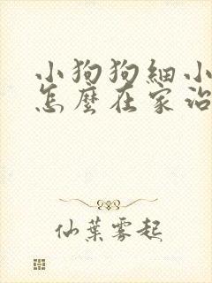 小狗狗细小犬瘟怎么在家治疗