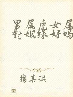 男属虎女属兔配对姻缘好吗