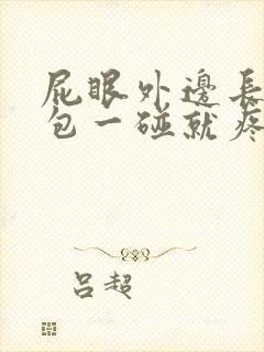 屁眼外边长了个包一碰就疼封面