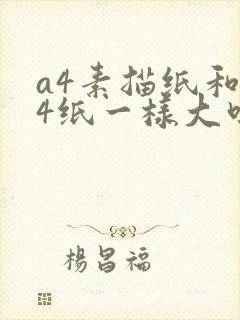 a4素描纸和a4纸一样大吗
