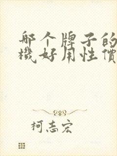 哪个牌子的电视机好用性价比最高