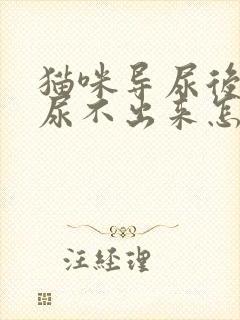 猫咪导尿后还是尿不出来怎么办