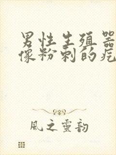 男性生殖器上有像粉刺的疙瘩