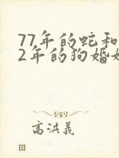 77年的蛇和82年的狗婚姻