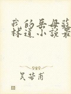 我的岳母苏沛真林道小说最新章节