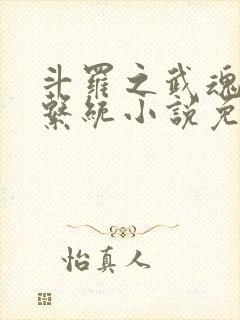 斗罗之武魂进化系统小说免费阅读