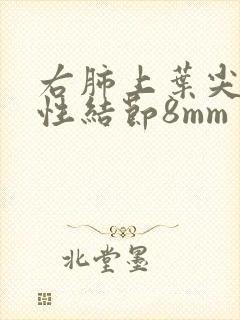 右肺上叶尖段实性结节8mm