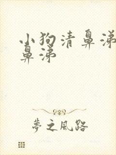 小狗清鼻涕变浓鼻涕