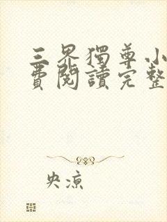 三界独尊小说免费阅读完整版封面