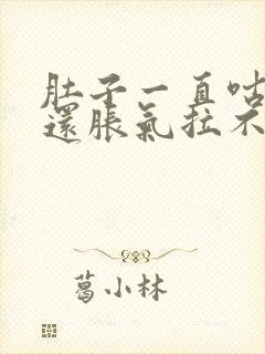 肚子一直咕咕响还胀气拉不出大便