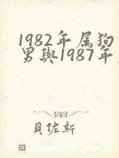 1982年属狗男与1987年属兔女婚配封面