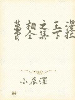 万相之王漫画免费全集下拉式漫画