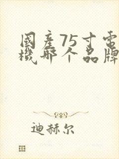 国产75寸电视机哪个品牌好性价比高封面