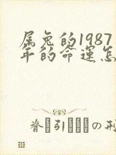属兔的1987年的命运怎么样