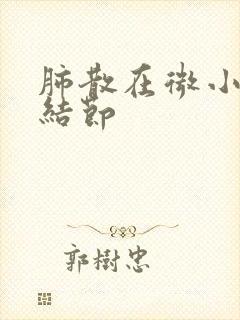 肺散在微小实性结节