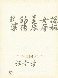 我的美女总裁老婆杨辰唐婉