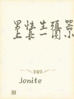 男性生殖器上面上长一圈小疙瘩