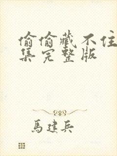 偷偷藏不住四十集完整版