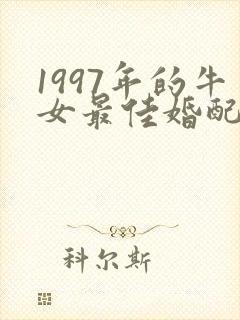 1997年的牛女最佳婚配属相