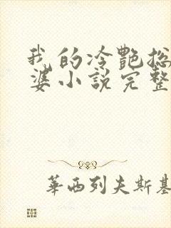 我的冷艳总裁老婆小说完整版封面