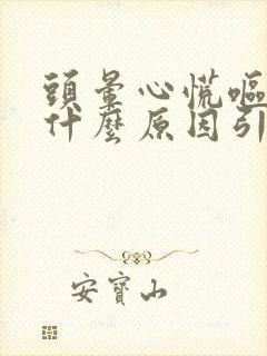 头晕心慌呕吐是什么原因引起的怎么办