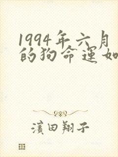 1994年六月的狗命运如何