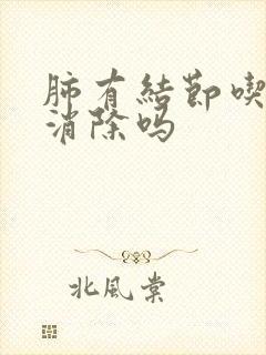 肺有结节吃中能消除吗