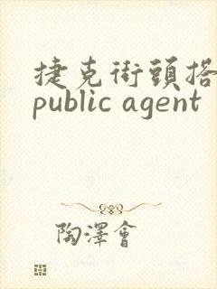 捷克街头搭讪:public agent封面