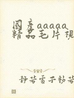国产aaaaa精品毛片视频封面