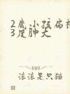 2岁小孩扁桃体3度肿大