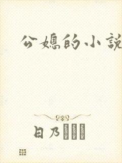 公媳的小说封面