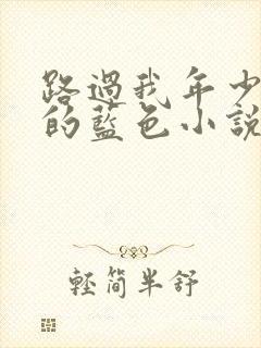 路过我年少时光的蓝色小说
