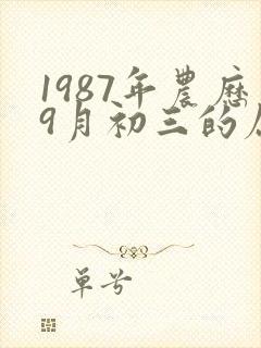 1987年农历9月初三的属兔人命运