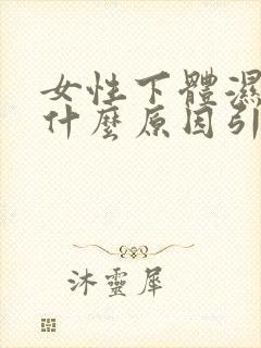 女性下体湿热是什么原因引起的呢封面
