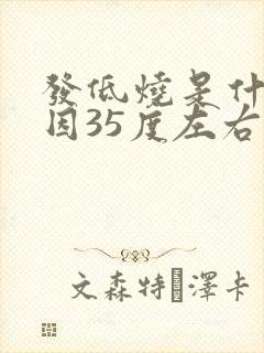 发低烧是什么原因35度左右封面